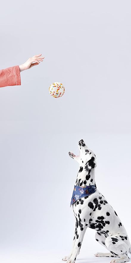 Dog Balls, Indestructible Dog Toy Ball for Aggressive Chewers, Durable High Elasticity Interactive Ball for Training Dog Catch and Fetch, Large Medium Small Dog and Puppies(3in, 2pcs)