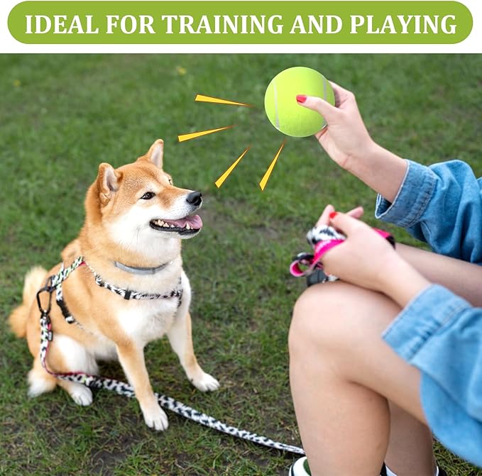 DIVINA VITAE 20Pcs Small Tennis Balls for Dogs, 2 Inch Colorful Mini Tennis Balls Fits All 2 Inch Dog Ball Launchers(Yelllow)