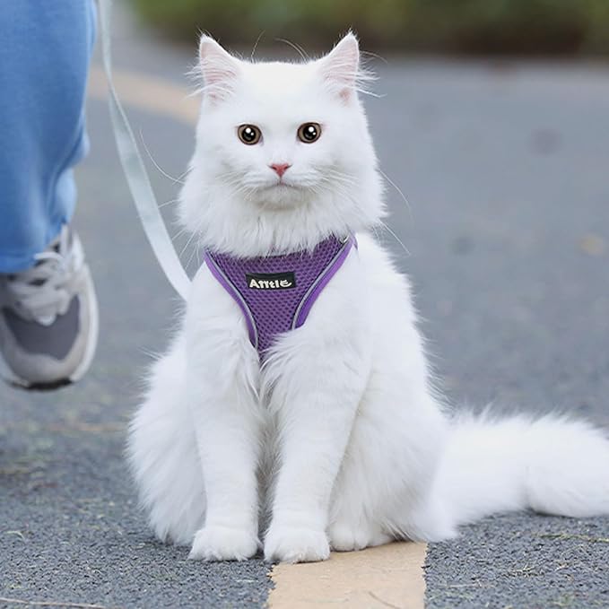 AIITLE Dog Harness, Summer No-Pull Cat Harness with a Leash, Adjustable Reflective Dog Vest, Cat Harness Escape Proof, Outdoor Walking, Camping for Extra Small Dogs and House Cats Pure Purple XXXS