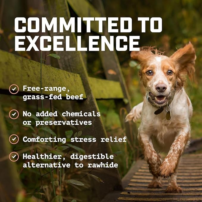 Wild Wolf 6-inch Angus Bully Sticks (8 Ounces) Healthy, All-Natural, Long-Lasting Dog Chew Bones - Low Odor - Mixed Thickness - Lab-Tested, Hand-Inspected and Packed with Love in The USA