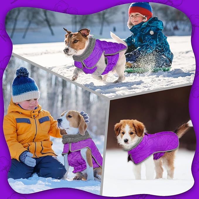 Fragralley Dog Winter Coat, Waterproof Windproof Reflective Fleece Jacket with Harness Hole, Warm Snow Vest for Small Medium Large Dogs, Ideal Gifts