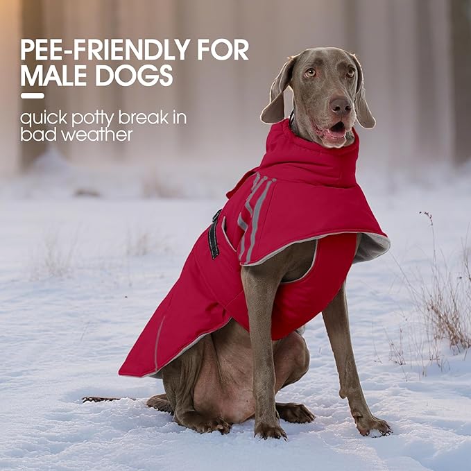 FUAMEY Dog Cold Weather Coats,Dog Winter Jackets for Small Dogs Warm Dogs Coat with Reflective Strips Waterproof Pet Snowsuit Thick Paded Pets Vest for Yorkshire Chihuahua Wine Red S