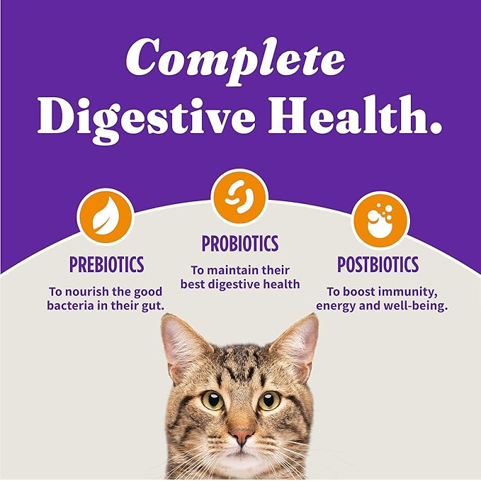 Halo Holistic Cage Free Chicken Cat Food, Grain Free Dry Cat Food, For Healthy Weight Support, Kibble for Indoor Cats, 3 lb Bag