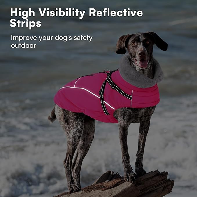 Queenmore Small Dog Coat,Dog Coat for Small Dogs,Reflective Windproof Dogs Jackets with Built-in Harness,Doggy Winter Jacket with Zipper On Back,Warm Pet Coats with Fleece Lining,Rosered,S