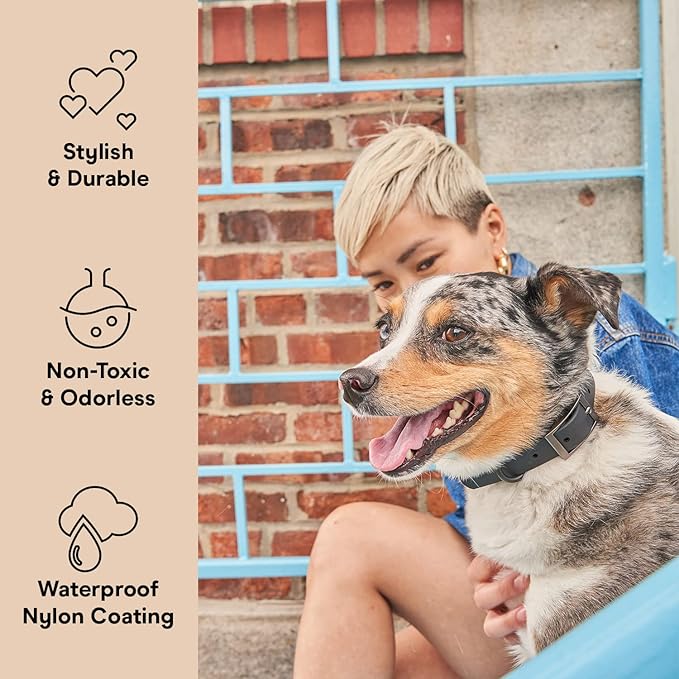 Wild One Dog Collar, The Original Easy-Clean, All Weather Flex-Poly Strap with Metal, Durable, Dirt and Odor Resistant, Size XL, Black