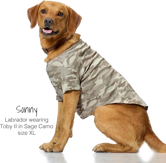 Toby II - The Perfect Tee, 3 Pack Short Sleeve Pet T-Shirt 100% Organic Cotton Tees Clothes for Small, Medium, Large Dogs, Sage Camo, X-Small