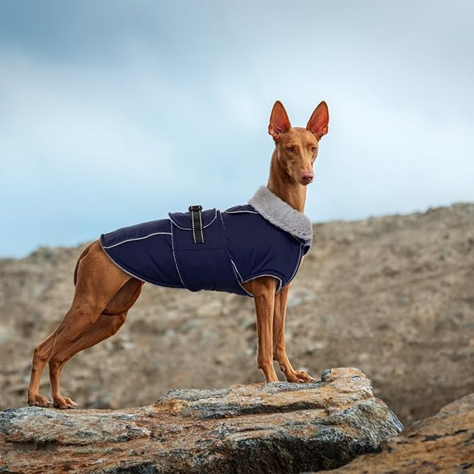 Lelepet Warm Dog Coat Waterproof Dog Jacket for Large Dogs Reflective Fleece Vest with Adjustable Buckle Hook & Loop Windproof Cold Weather Coats for Small Medium Large Dogs, Navy Blue, L