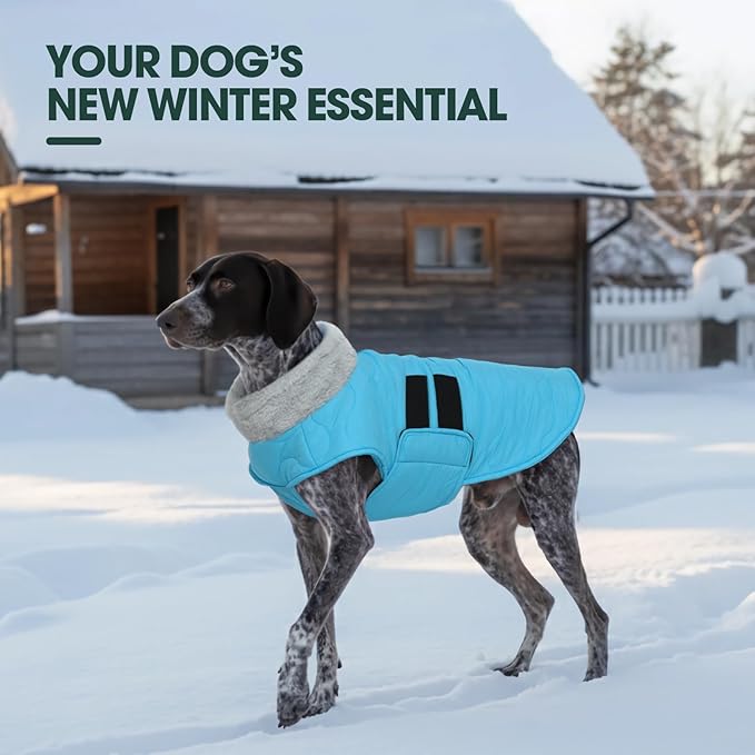 Kuoser Dog Jacket, Winter Dog Coats for Medium Dogs, Cold Weather Coats Pet Clothes, Doggie Snow Jacket for Frech Bulldog, Boston Terrier, Blue M