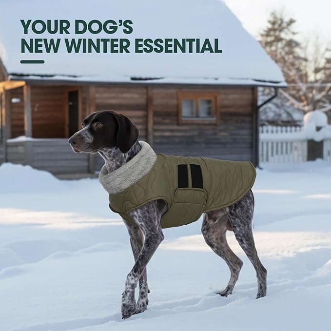 Kuoser Dog Jacket, Winter Dog Coats for Medium Dogs, Cold Weather Coats Pet Clothes, Doggie Snow Jacket for Frech Bulldog, Boston Terrier, Green M