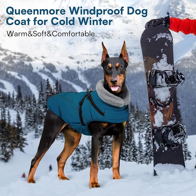 Queenmore Dog Coat,Windproof Dog Coat for Medium Dogs,Dogs Jackets with Harness Built in,Waterproof Doggy Coats with Zipper On Back,Reflective Cold Weather Coats for Dachshund，Boston Terrier,Blue,M