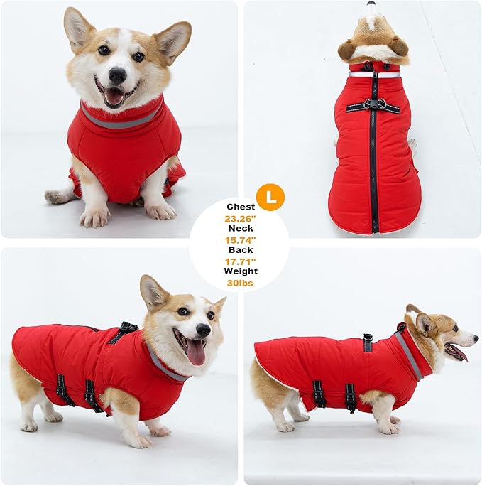 Medium Dog Coat with Harness Built-in, Waterproof Reflective Fleece Lined - Warm Windproof Winter Jacket with Back Zipper, Cold Weather Snow Dog Coats - Red - M