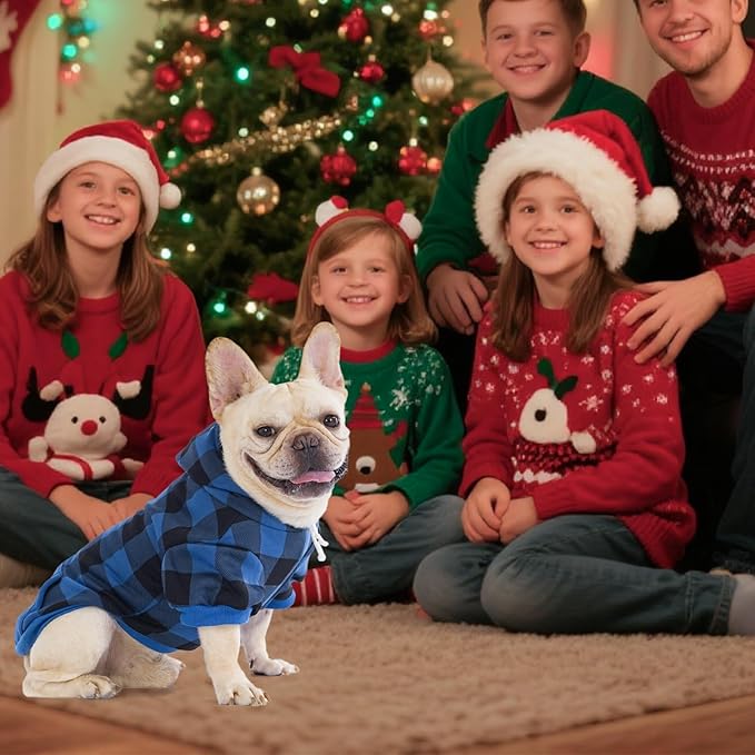 KOOLTAIL Plaid Dog Hoodie Pet Clothes Sweater with Hat and Pocket for Small Medium Large Size Dogs, Soft Winter Warm Dog Cold Weather Coat, Fleece Fall Dog Hooded Sweatshirt for Puppy Cats, Blue S