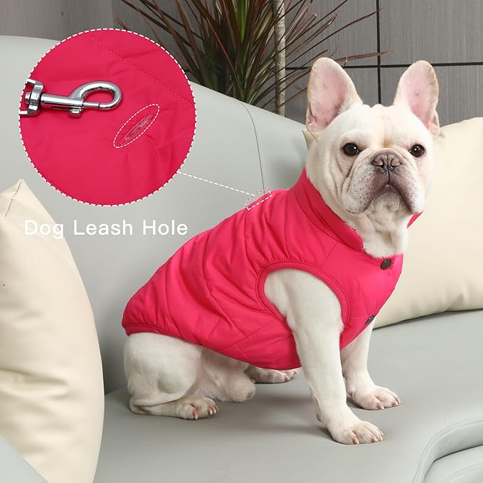 2 Layers Fleece Lined Warm Dog Jacket for Puppy Winter Cold Weather,Soft Windproof Small Dog Coat,Pink S