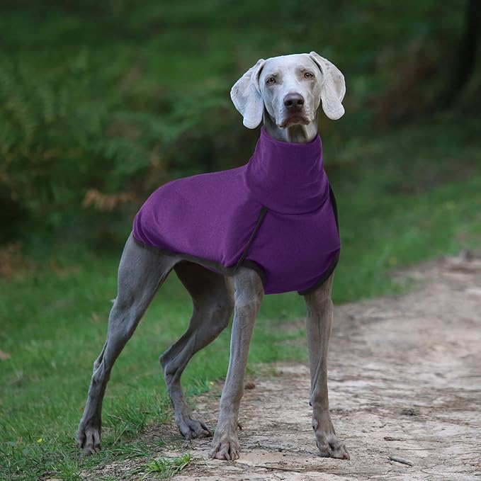 ROZKITCH Dog Sweatshirts for Large Dogs, Pet Windproof Warm Cold Weather Jacket Vest Cozy Jumpsuit Apparel Outfit Clothes for Walking Hiking Travel Sleep Purple L