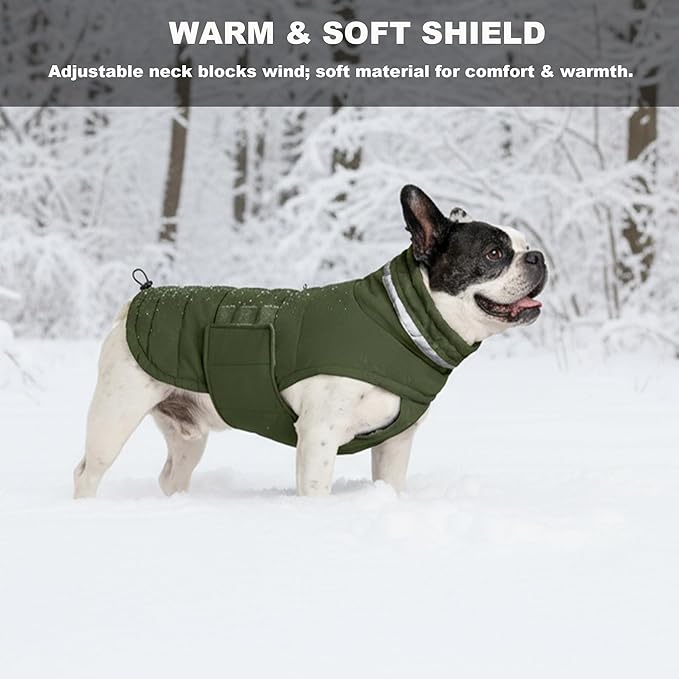 Dog Coat, Waterproof Winter Jacket, Warm Windproof Jacket, Reflective Adjustable Turtleneck Coats for Medium Dogs with Hook & Loop - Green - M