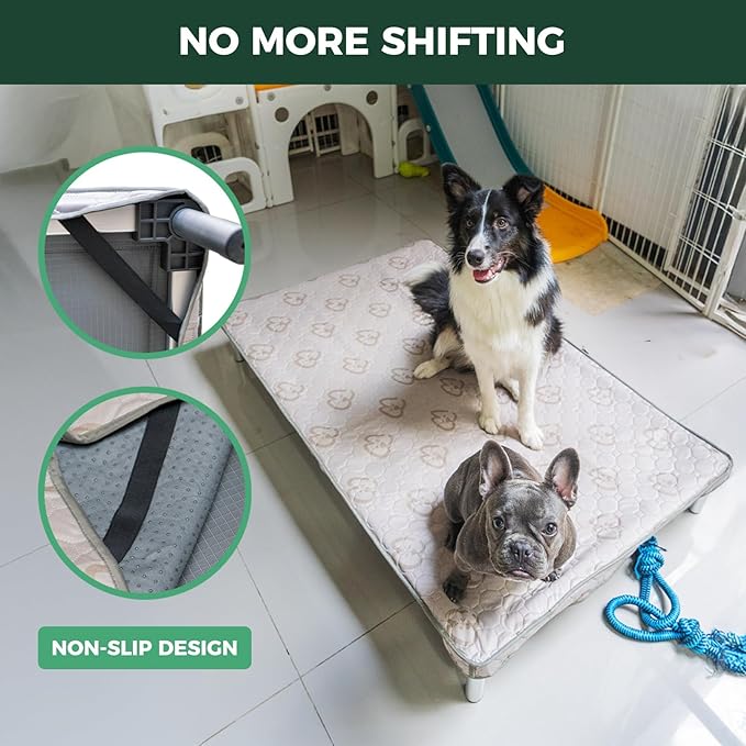 FXW TitanNest Chew-Proof Elevated Dog Bed, Raised Cot for Indoor/Outdoor/Camping Use, Durable & Washable Padded Pet Bed with Exclusive Cover for Extra-Small Dogs, 29.0" L x 18.0" W x 4.5" H, Black