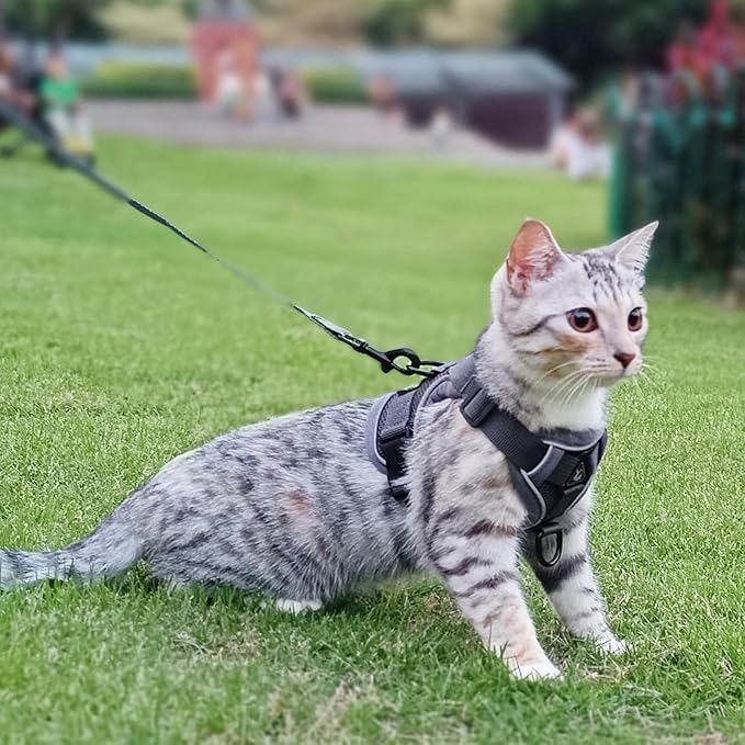 Cat Harness and Leash Set Escape Proof Tactical Medium Kitten Harness Emotional Support Cat Vest, Grey, M