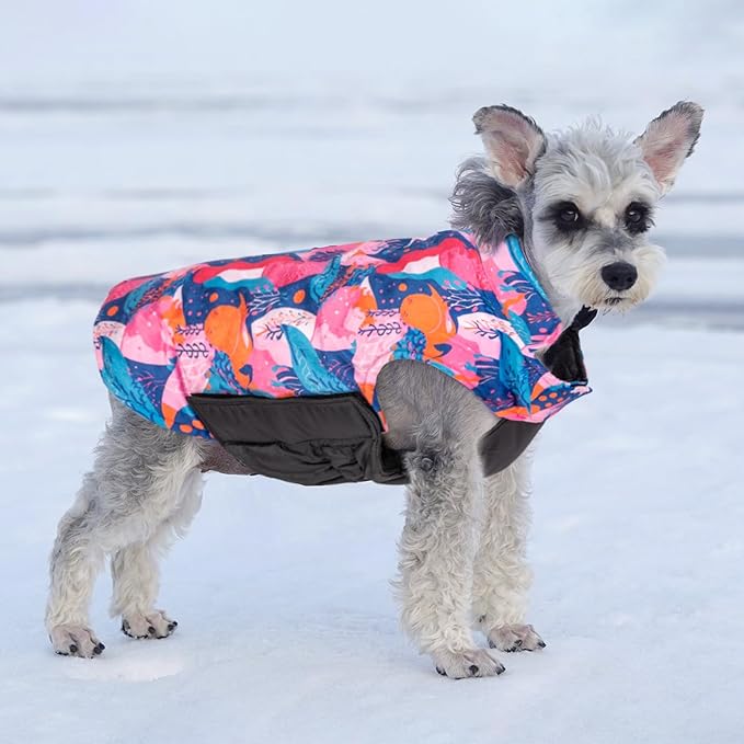 CuteBone Winter Dog Coat - Soft, Adjustable, Reversible Jacket - Waterproof, Windproof - Small to Large Sizes - Leash Hole forestinationown Dogs