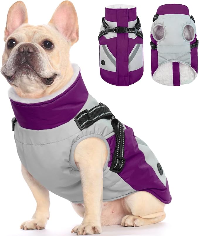 FUAMEY Dog Winter Jackets for Small Dogs,Dog Coat with Harness Built in,Waterproof Dogs Snowsuits Warm Pet Jacket Zip Up Fleece Cold Weather Coats Reflective Puppy Vest with Pocket Purple XS