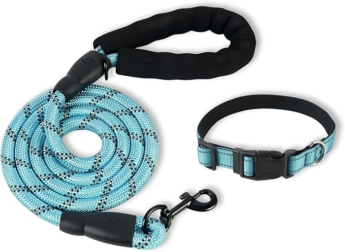 Nylon Dog Leash for Medium Large Dogs, 5-FTReflective Heavy Duty Leash with Comfortable Handle & Poop Bag Dispenser Ring, 1/2 Inch Wide, Secure Reinforcement for Walking(Blue, M)