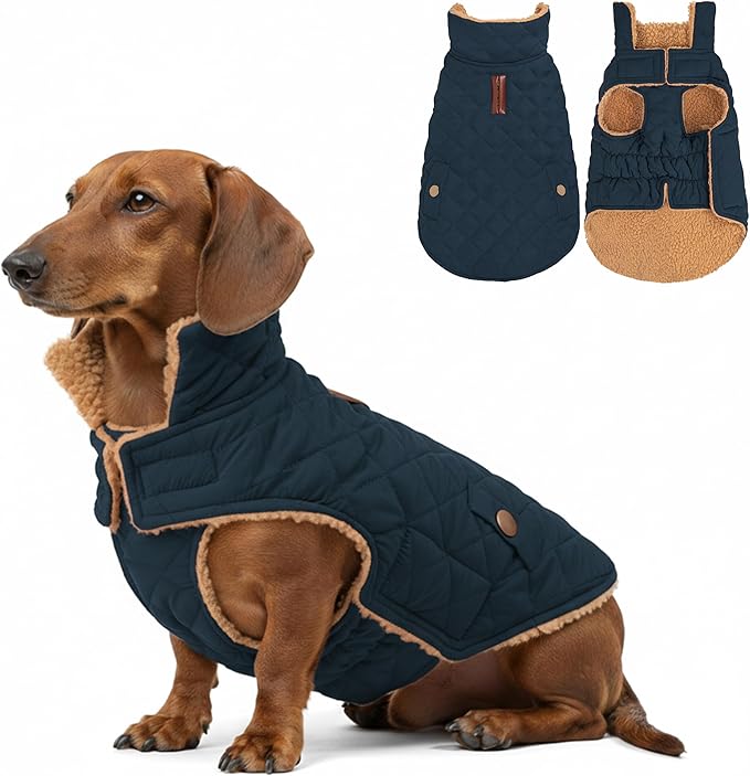 azuza Dog Jacket Waterproof & Windproof Dog Coat for Small Dogs with Thick Fleece, High Collar with Leash Hole, Adjustable Velcro & Elastic Belly, Navy XL