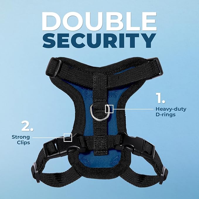 Voyager Step-in Lock Adjustable Cat Harness w. Cat Leash Combo Set with Neoprene Handle 5ft - Supports Small, Medium and Large Breed Cats by Best Pet Supplies - Royal Blue/Black Trim, XS