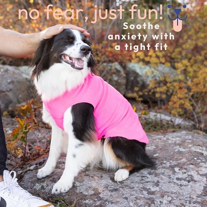 Goldpaw Stretchy Fleece Jacket for Small Dogs - Super Soft, Warm Dog Sweater - Pet Sweater Vest for Fall and Winter - Canine Clothes Made in The USA - Machine Washable - Fuchsia - Size 28