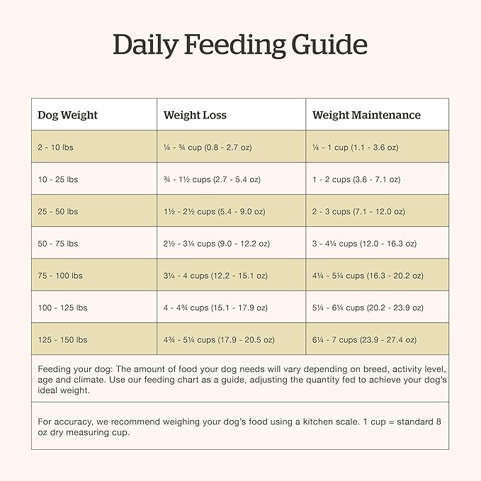 Now Fresh Grain-Free Dry Dog Food with Turkey, Salmon & Duck, Healthy Kibble for Adults Made with Real Meat & Fish, Chicken-Free, Enhanced with Pumpkin & Probiotics for Good Digestion, 12 lb Bag
