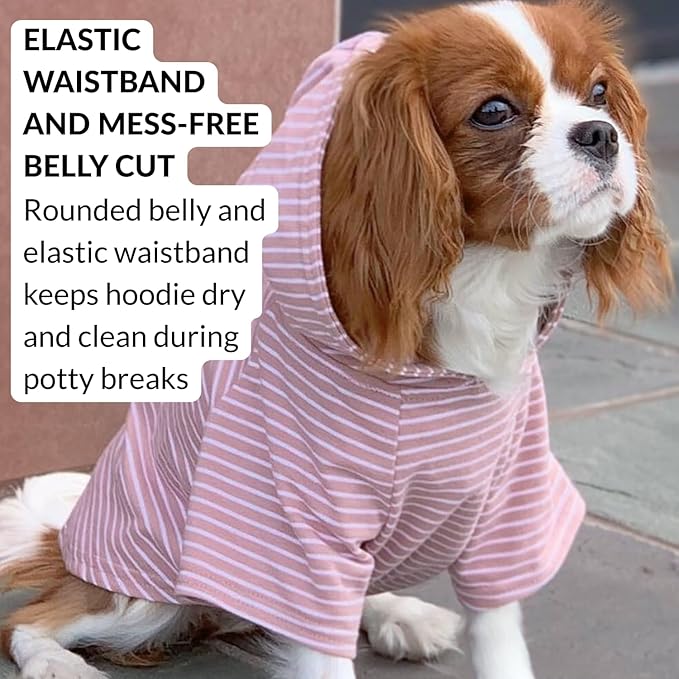 DJANGO Dog Hoodie – Warm, Lightweight, Soft & Stretchy Dog Sweater with Hood, Harness Hole & Elastic Waistband – Cozy Sweatshirt for Small Dogs up to 25 lbs, Dachshunds & Puppies – Blush Pink, Small