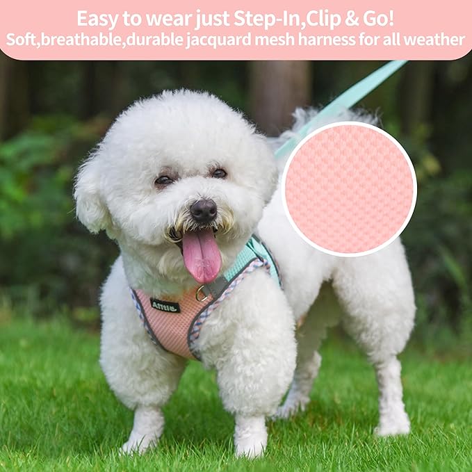 AIITLE Escape-Proof Dog Harness - Extra Soft Jacquard Fabric with Moisture-Wicking Lining, Adjustable Fit for Boston Terrier, Pekingese - Running, Playdates, Outdoor Adventures (Turquoise-Pink, L)