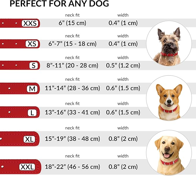CollarDirect Rolled Leather Dog Collar, Soft Padded Round Puppy Collar, Handmade Genuine Leather Collar Dog Small Large Cat Collars 13 Colors (15-19 Inch, Red Smooth)