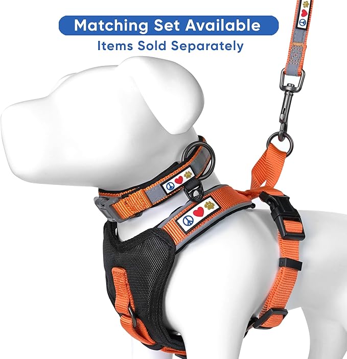 Pawtitas Personalized Dog Leash - Embroidered Customize Your Pet's Name & Phone Number - Reflective 6 ft Long Orange Leash