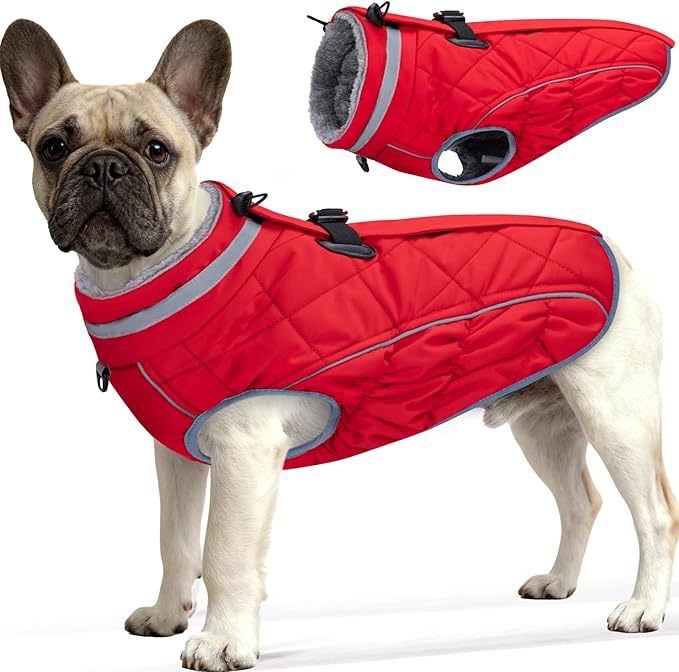 Dog Coat, Warm Dog Winter Coat for Small Dogs, Waterproof Jacket with Harness Built in, Reflective Turtleneck Cold Weather Coats with Zipper,Pet Fleece Vest Snow Jacket, Red S