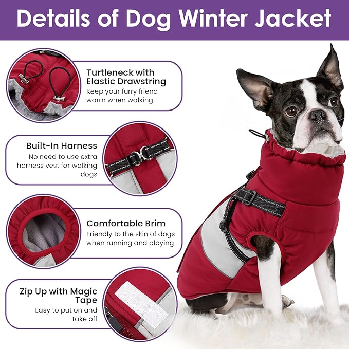 SUNFURA Small Dog Coat with Harness Built in, Warm Dog Jacket Winter with Zipper On Back, Waterproof Pet Snow Jacket Snowsuit Pet Sweater Clothes for Puppy, Burgundy XS