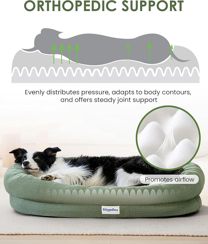 Orthopedic Dog Bed for Small Dogs, Pet Sofa Bed with Egg Crate Foam, 4-Sided Bolster, Removable Washable Cover & Anti-Slip Bottom, Small Calliste Green
