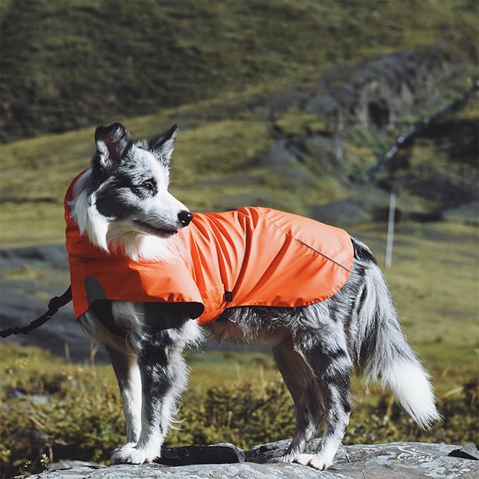 Dog Water-Repellent Raincoat Jacket, Lightweight Reflective Waterproof Clothes for Small Medium Large Dogs, Outdoor for Fall & Spring (Orange, XS)