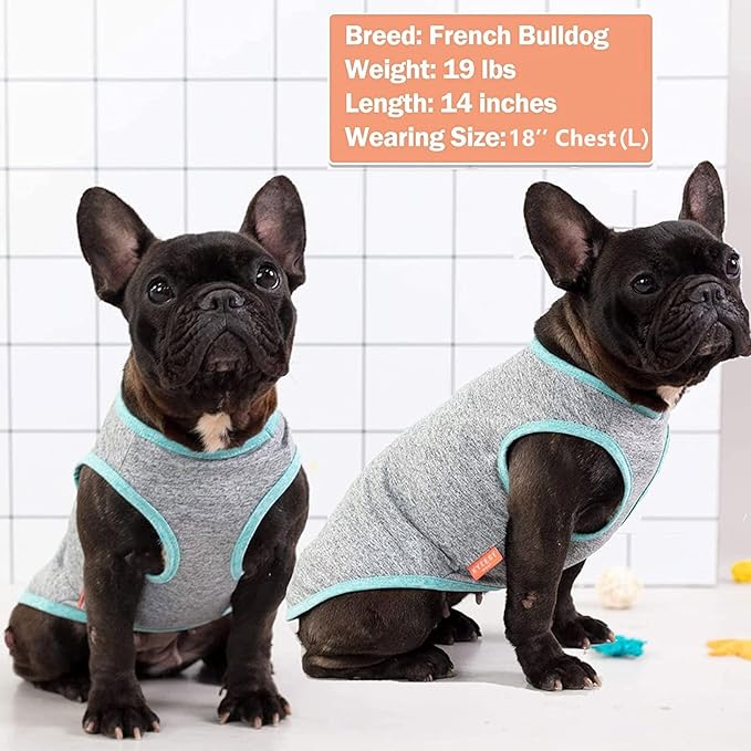 KYEESE 2 Pack Dog Shirts Sun Protection Quick Dry Soft Stretchy Pet T-Shirts with Reflective Label Tank Top Sleeveless Cat Vest Dog Clothes for Small Medium Dogs, Small, Grey+Blue