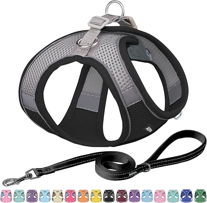AIITLE Escape Proof Dog Harness - Step in Adjustable Dog Harness No Choke Over with Breathable Mesh and Quick-Release Buckle for Summer- Outdoor Walking, Camping, Training for Medium Dogs Black XL