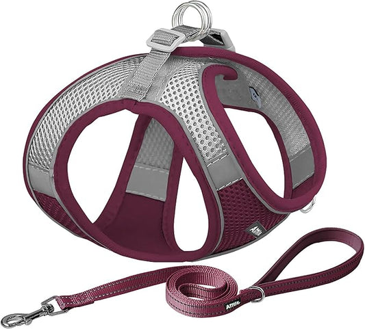 AIITLE No Pull Dog Harness and Leash Set, Step in Adjustable Dog Harness with Padded Vest for All Weather, Dog Leash with Soft Padded Handle, Easy to Put on Small and Medium Dogs Burgundy S