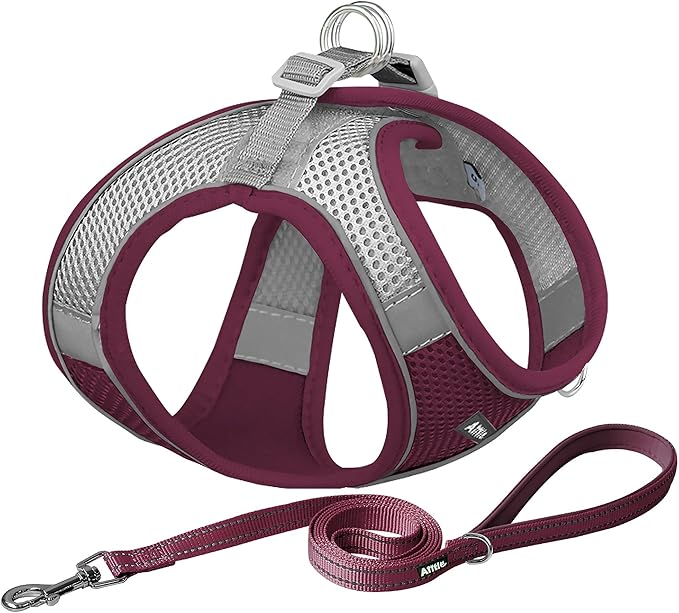 AIITLE Escape Proof Dog Harness - Step in Adjustable Dog Harness No Choke Over with Breathable Mesh and Quick-Release Buckle for Summer- Outdoor Walking, Camping, Training for Medium Dogs Burgundy XL