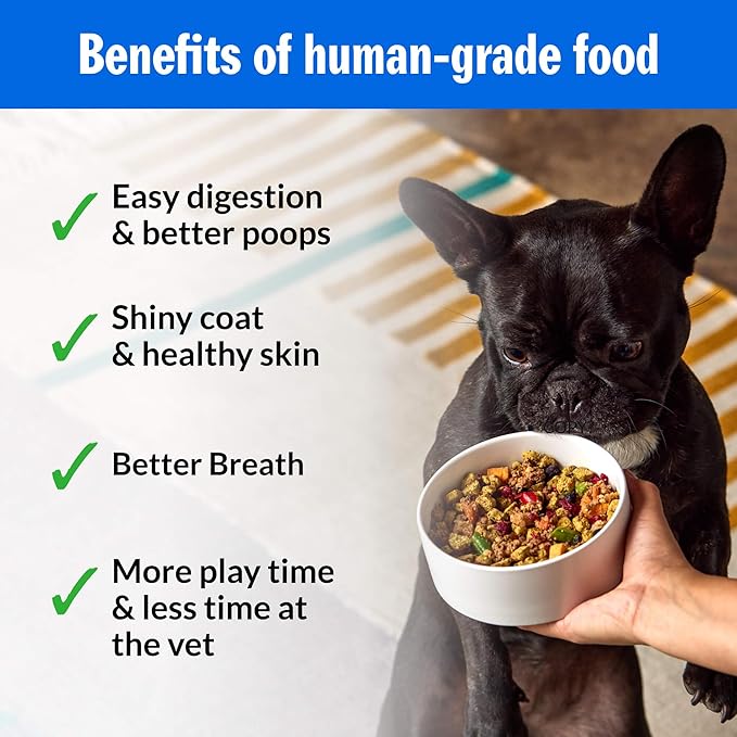 PetPlate Trail Blazin' Beef FreshBaked Dry Dog Food Grain-Inclusive, Gently Baked and Air-Dried Human Grade Dog Food, Formulated with Prebiotics and Postbiotics, No Fillers or by-Products, 2lbs