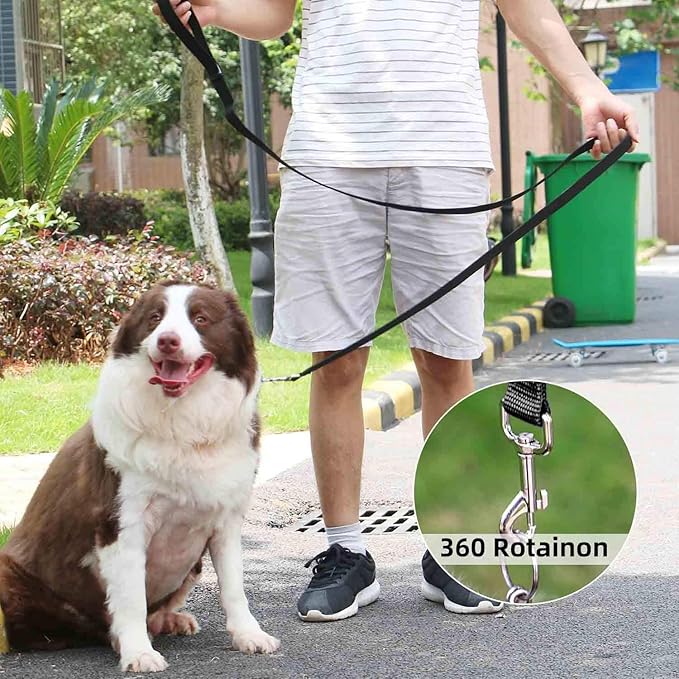 AMAGOOD 6 FT Puppy/Dog Leash, Strong and Durable Traditional Style Leash with Easy to Use Collar Hook, Great for Small, Medium and Large Dogs (3/4 in x 6 ft, Black and Purple (2-Pack))