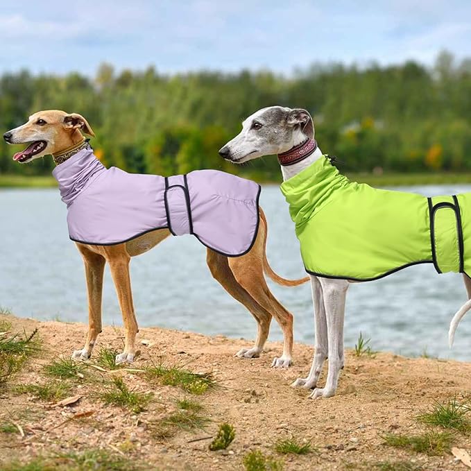 Dog Raincoat with Reflective Bar, Rain/Water Resistant, Adjustable Vest - Dog Raincoats for Greyhounds, Lurchers and Whippets - Purple - XL