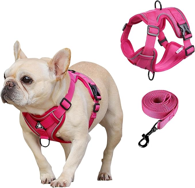 SOLMOONY Small Dog Harness,Soft Mesh Puppy Harness and Leash Set,No Escape Cat Harnesses for Training Walking,Reflective Adjustable Puppy Vest for Small Medium Dogs, Cats (Hot Pink, XL)