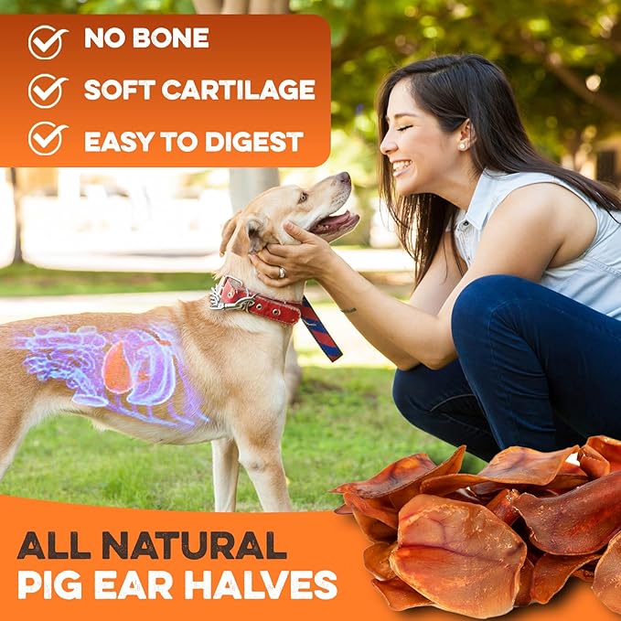 BRUTUS & BARNABY Whole Pig Ears for Dogs, 100 Ct. – All-Natural Single Ingredient Dog Chews, Slow Cooked & Fully Digestible Rawhide Alternative