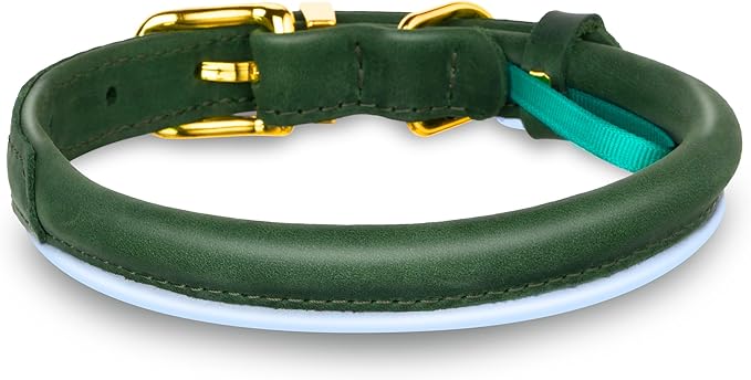 OOPSDOGGY Reflective Rolled Leather Dog Collar Adjustable Soft Padded Pet Collar for Small Medium Large Breed Dogs (Green, S, 10"-13")