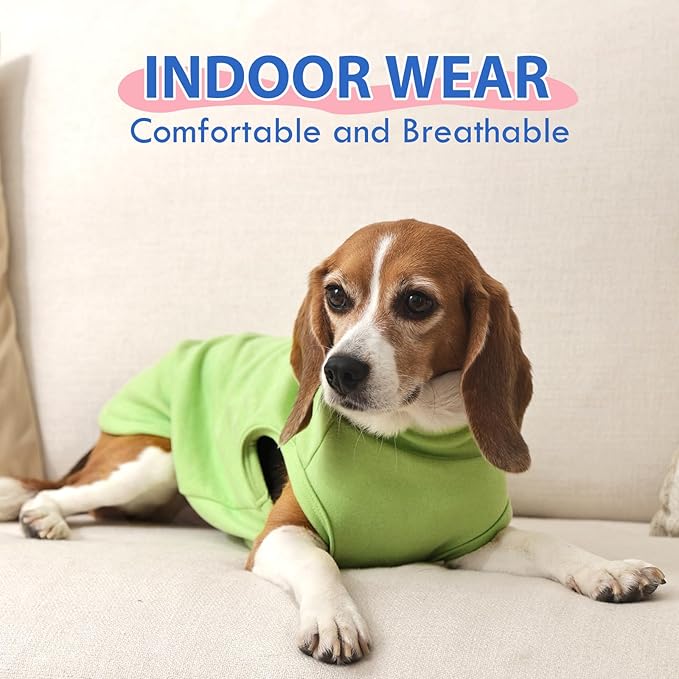 Dog Fleece Vest - Green, XL - Lightweight Sweater | Warm Stretchable Sweatshirt for Fall & Winter, Indoor Comfort Wear,Seasonal Underwear,Schnauzer