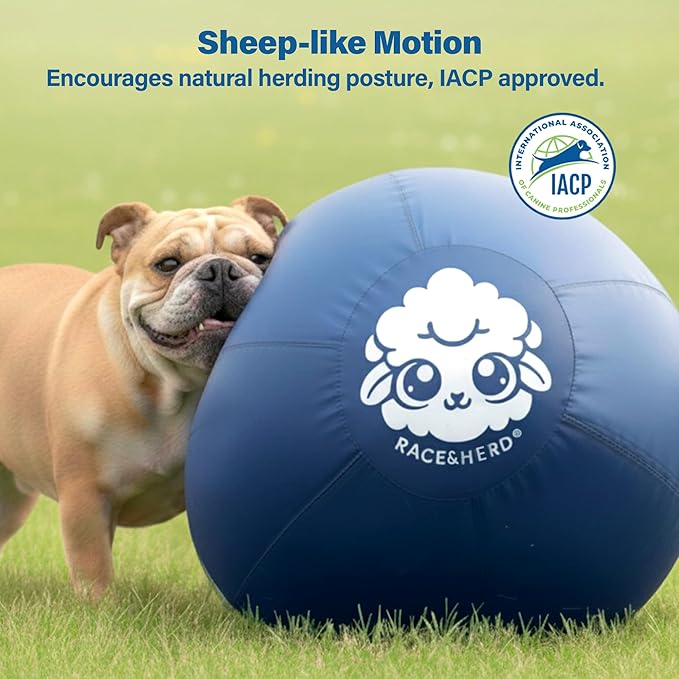 Race&Herd 18" Original XXL Herding Ball for Dogs - Giant Herding Dog Ball Australian Shepherds, Herding Toys, Dog Training Toy for Small Breeds, Dog Toy for Outdoor Play (for Small Dogs, Yellow)