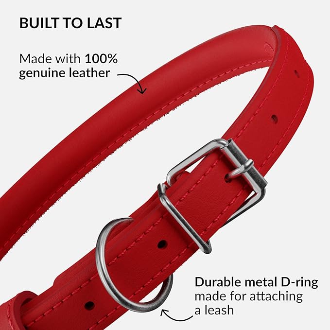 CollarDirect Rolled Leather Dog Collar, Soft Padded Round Puppy Collar, Handmade Genuine Leather Collar Dog Small Large Cat Collars 13 Colors (11-14 Inch, Red Smooth)