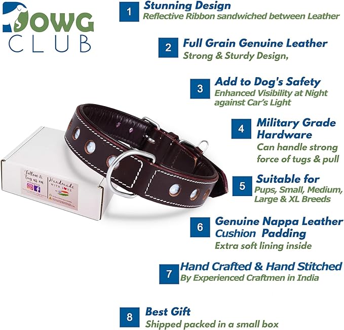 Genuine Leather Reflective Dog Collar | Stellar Series | Safe for Night Walking | Soft, Cushion Padding, Handmade | Best for Small, Medium, Large, XL (M (Fit Neck Size 14.5"-18.5"), Raven)